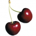 cereza ácida (guinda)