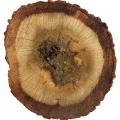 Madera de oud