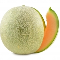 melón